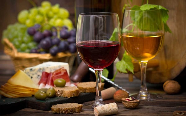 DH Villas - The top wines of Le Marche